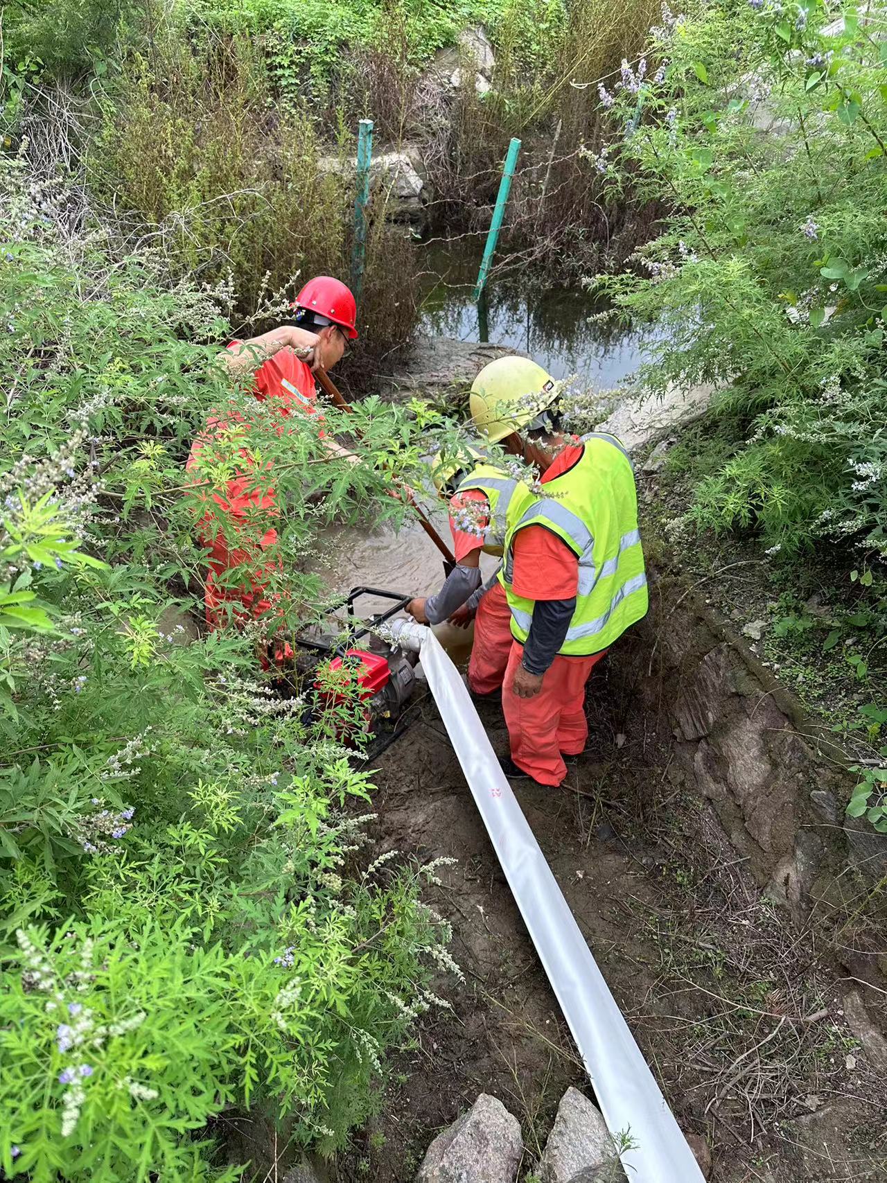 4e171c1943f9cb24ab03b78eeec152f.jpg 4e171c1943f9cb24ab03b78eeec152f.jpg