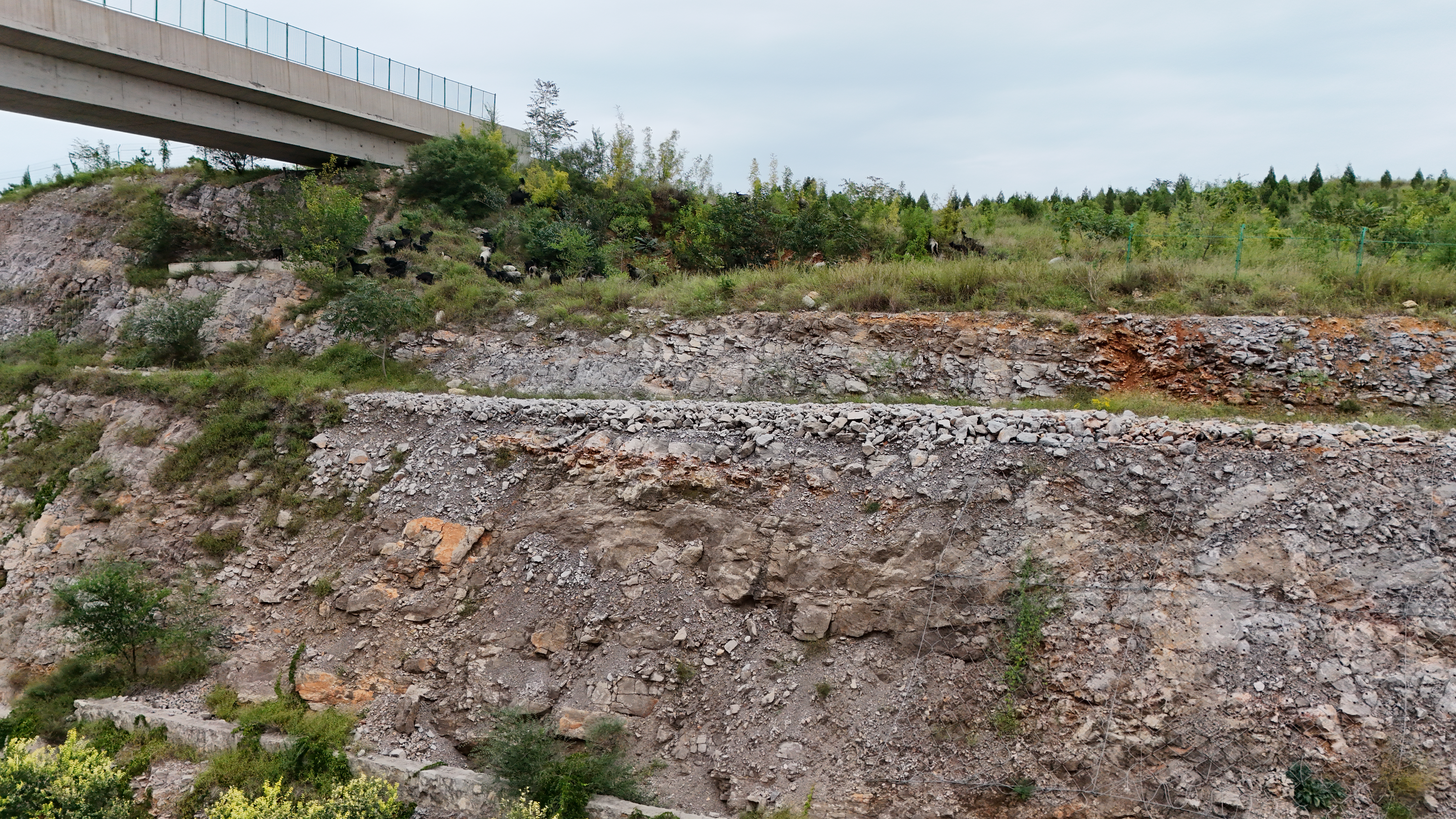 DJI_20240902165133_0004_D.JPG DJI_20240902165133_0004_D.JPG