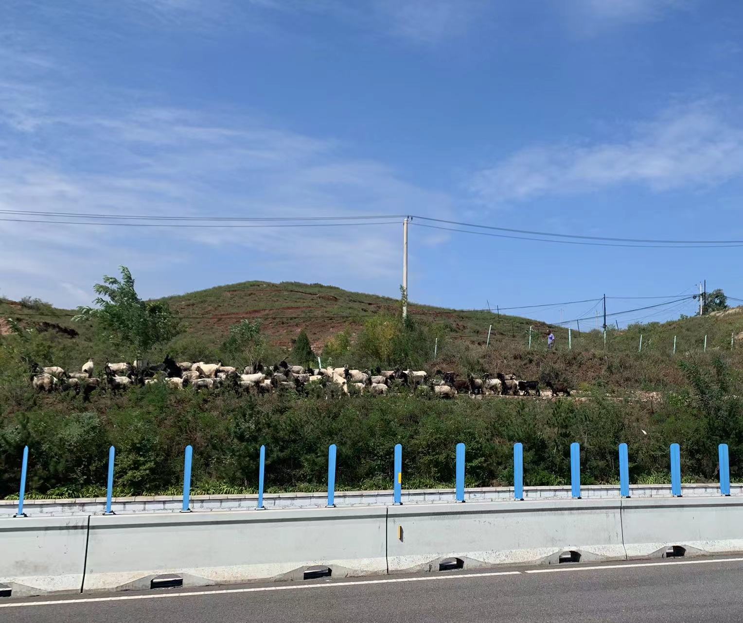 28cf9408b66c5eab9e2703f1bff5706.jpg 28cf9408b66c5eab9e2703f1bff5706.jpg