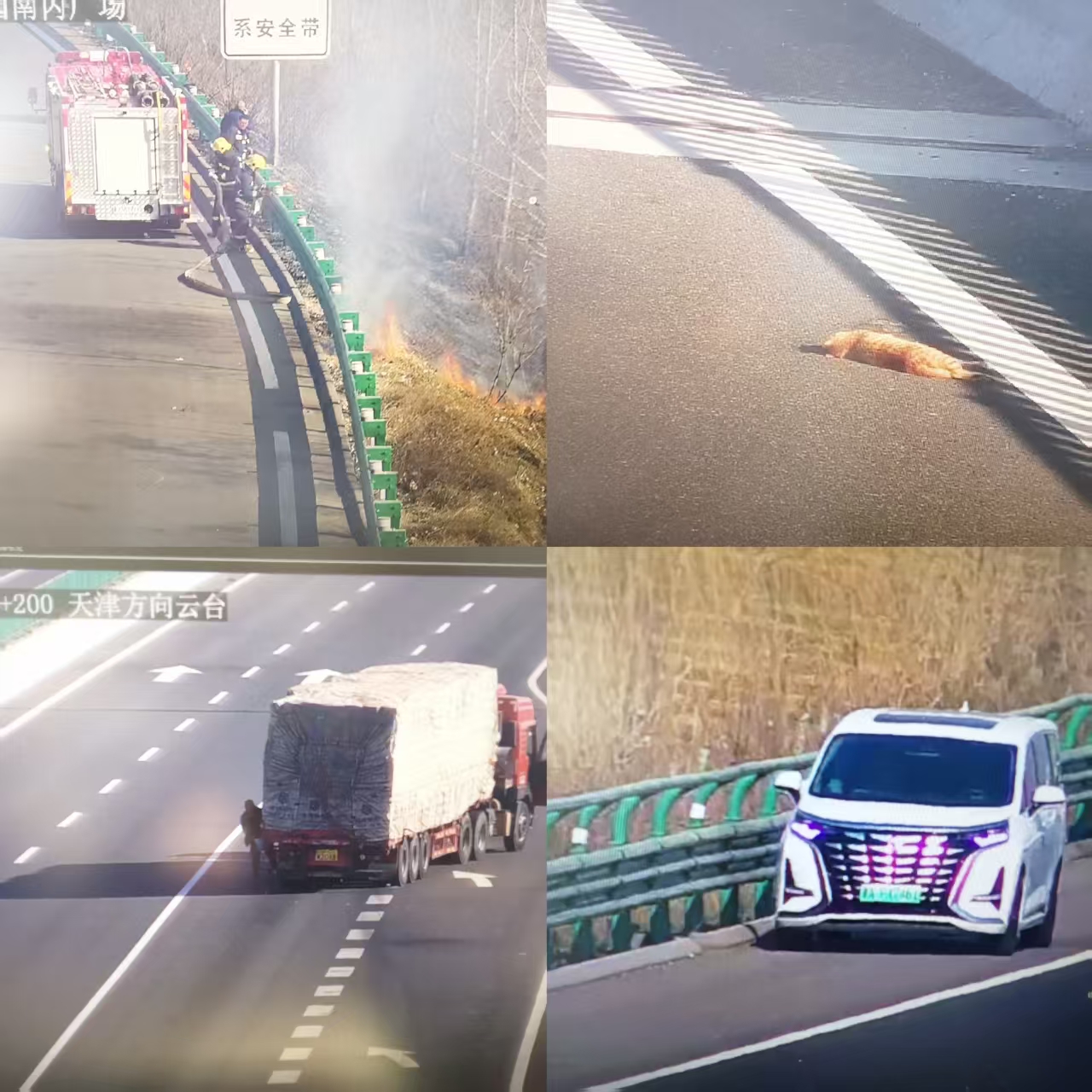 fde8922850d6d8088d0039f14fea0f3.jpg fde8922850d6d8088d0039f14fea0f3.jpg