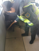 图片.png 图片.png